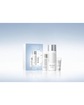SILKY PURIFYING SILK PEELING POWDER LIMITED EDITION
